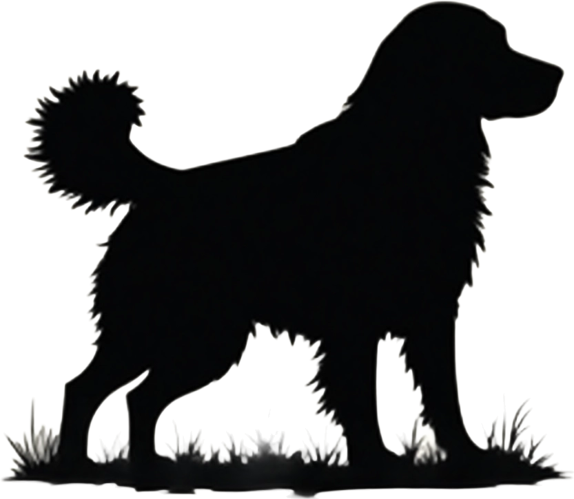 Silhouette of a Dog